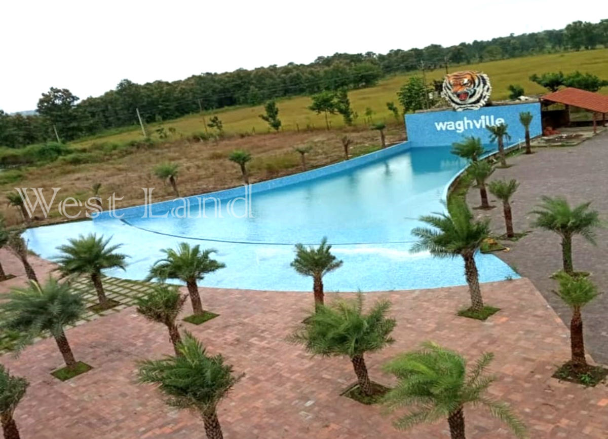 Wave Pool